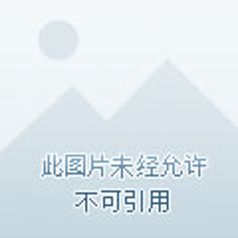 停车App:城市的“呼吸”与便利的融合